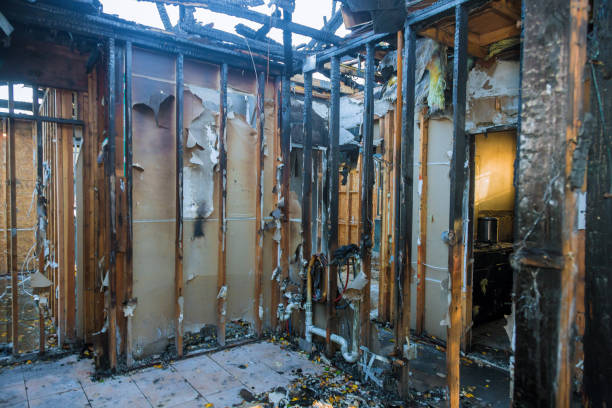 Professional Structural Rebuild technician working in Grant, MN